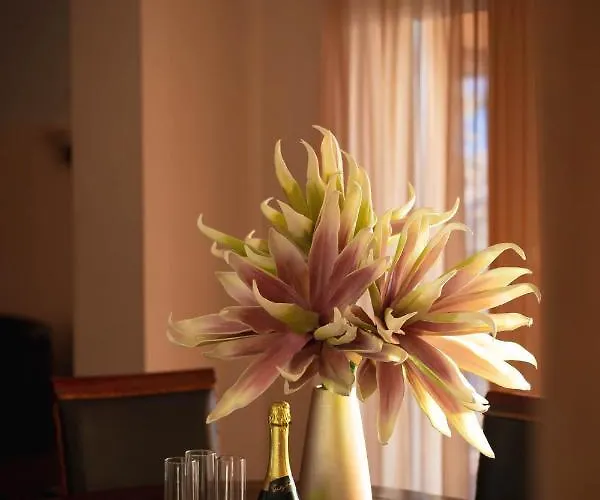 Maya Panzio-rezidencia Szeged