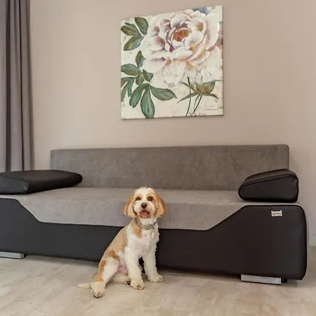 Bed & Breakfast Maya Panzio-rezidencia