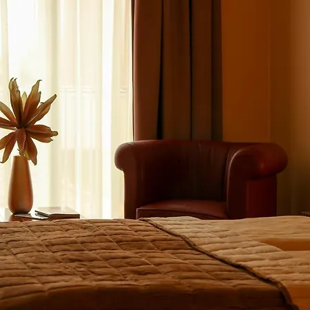 Maya Panzio-rezidencia 3* セゲド