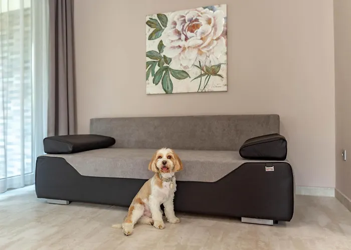 Bed & Breakfast Maya Panzio-rezidencia